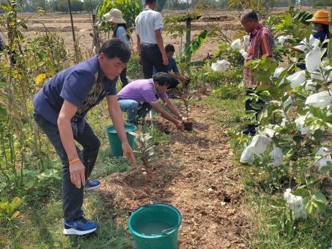 นายอำเภอเมืองบุรีรัมย์ พร้อม คณะและทีมงาน เยี่ยมชมโครงการหนองนาโมเดล ม.15