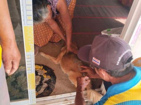 โครงการป้องกันโรคพิษสุนัขบ้า ประจำปีงบประมาณ พ.ศ. 2568