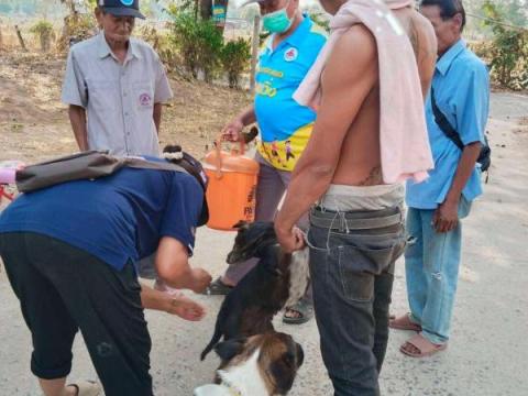 โครงการป้องกันโรคพิษสุนัขบ้า ประจำปีงบประมาณ พ.ศ. 2568