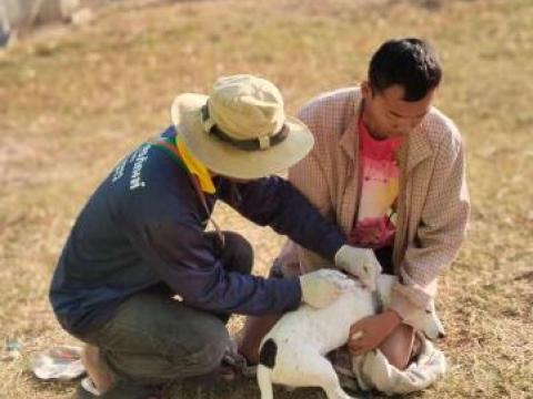 โครงการป้องกันโรคพิษสุนัขบ้า ประจำปีงบประมาณ พ.ศ. 2568