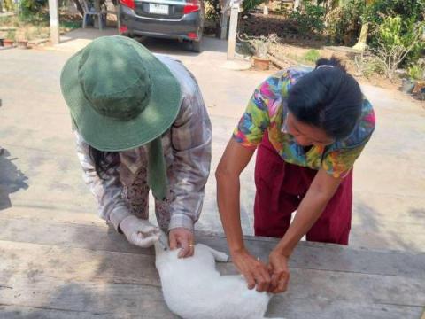 โครงการป้องกันโรคพิษสุนัขบ้า ประจำปีงบประมาณ พ.ศ. 2568