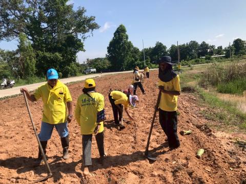 โครงการปลูกต้นไม้เฉลิมพระเกียรติ 2568