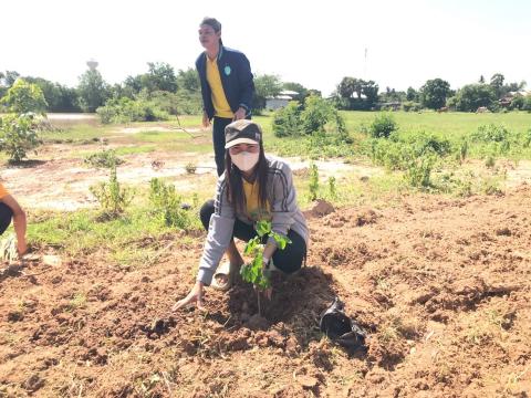 โครงการปลูกต้นไม้เฉลิมพระเกียรติ 2568