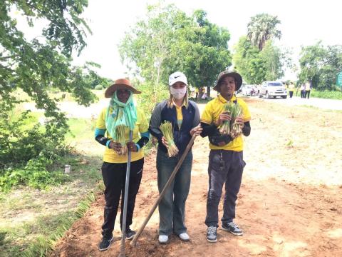 โครงการปลูกหญ้าแฝกเฉลิมพระเกียรติ 2567