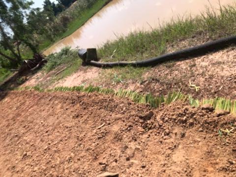 โครงการปลูกหญ้าแฝกเฉลิมพระเกียรติ 2567