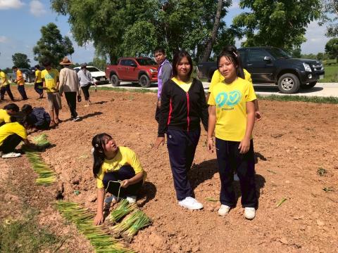 โครงการปลูกหญ้าแฝกเฉลิมพระเกียรติ 2567